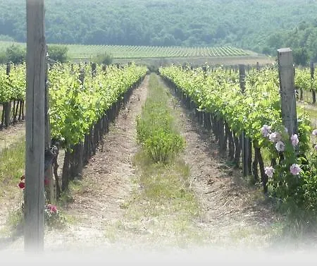 Le Stanze Di Zelinda Farm stay *