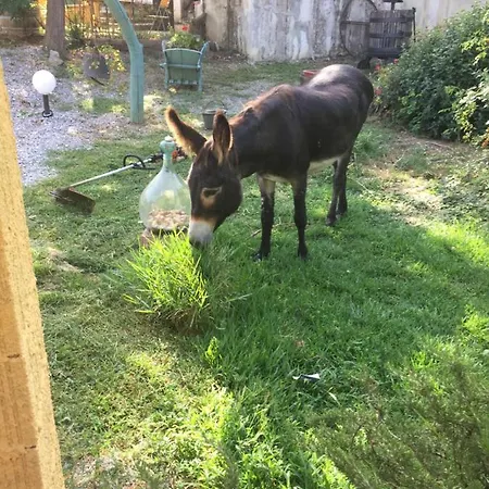 Farm stay Le Stanze Di Zelinda *