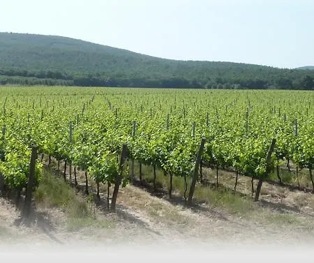 Le Stanze Di Zelinda * Suvereto